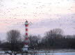 PC060038 600